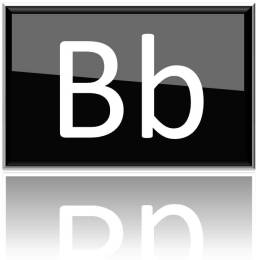 BB20